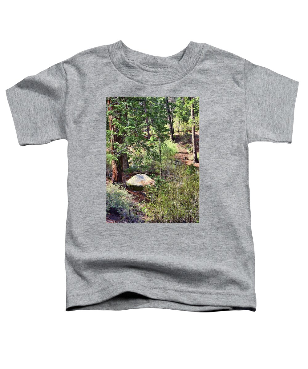 Top Toddler T-Shirt featuring the photograph Along The Castle Rock Trail by Paulette B Wright