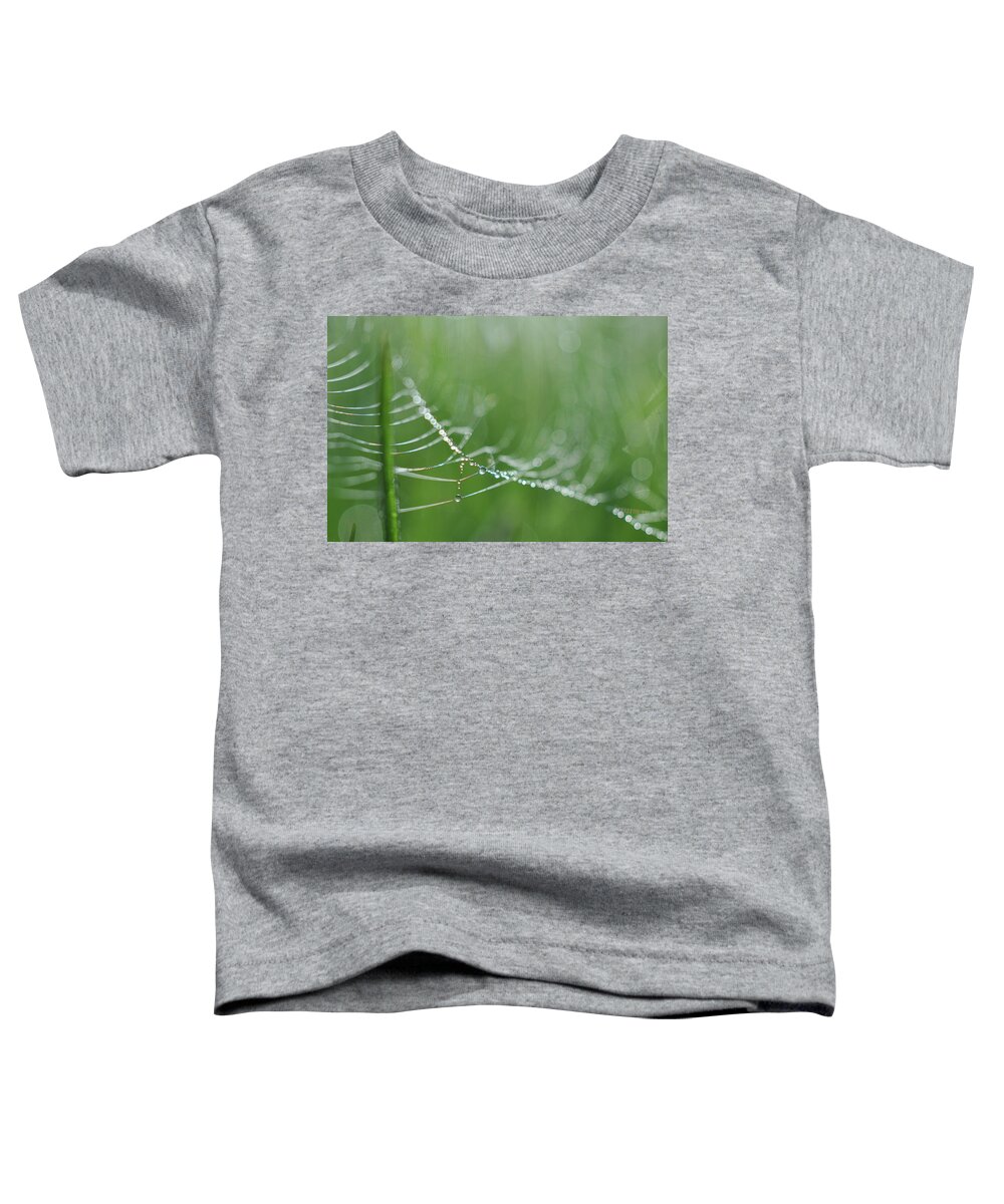 Green Toddler T-Shirt featuring the photograph Amazing by Michelle Wermuth