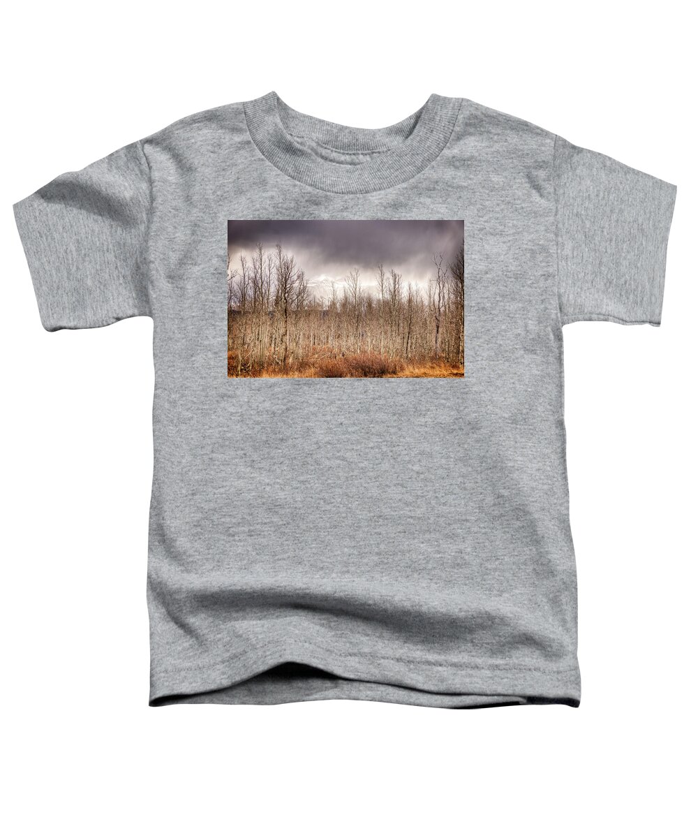 American Fork Canyon Toddler T-Shirt featuring the photograph American Fork Canyon by Brett Engle
