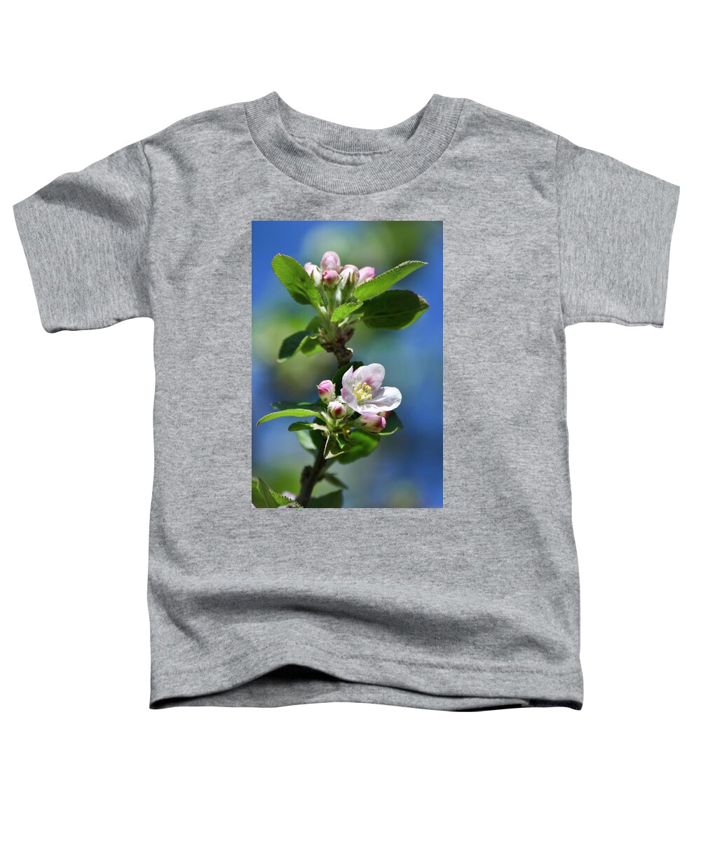 Apple Blossom Toddler T-Shirt featuring the photograph Apple Blossom by Christina Rollo