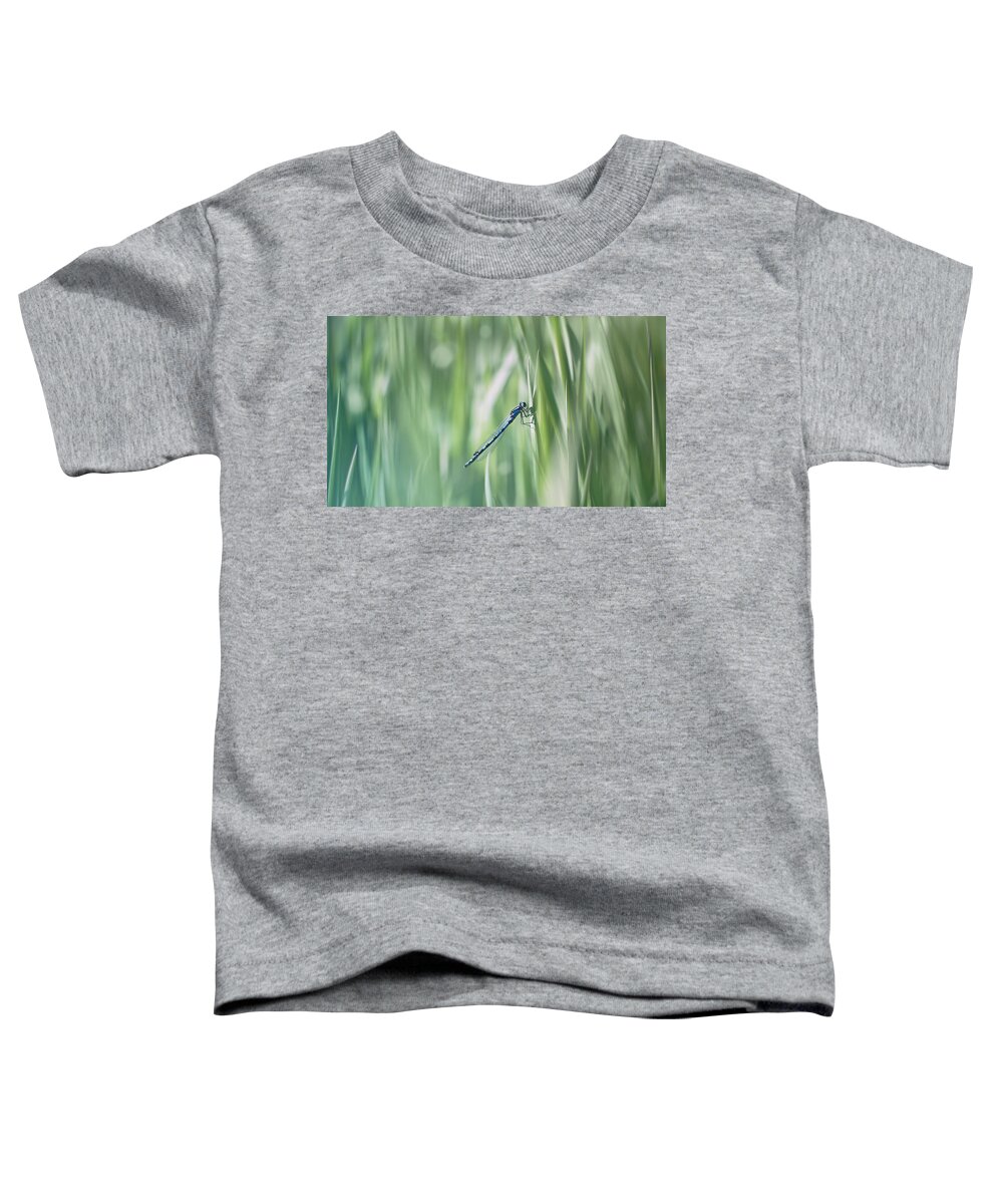 Dragonfly Toddler T-Shirt featuring the photograph Around The Meadow 8 by Jaroslav Buna