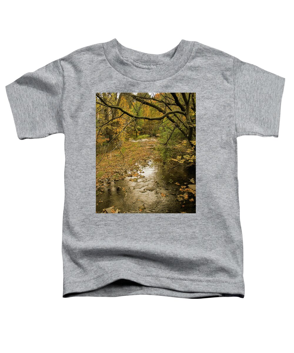 Autumn Toddler T-Shirt featuring the photograph Autumn forest by Silvia Marcoschamer