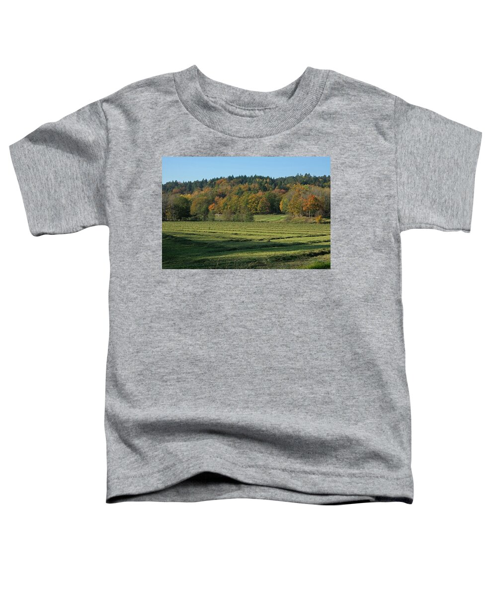 Sweden Toddler T-Shirt featuring the pyrography Autumn scenery by Magnus Haellquist