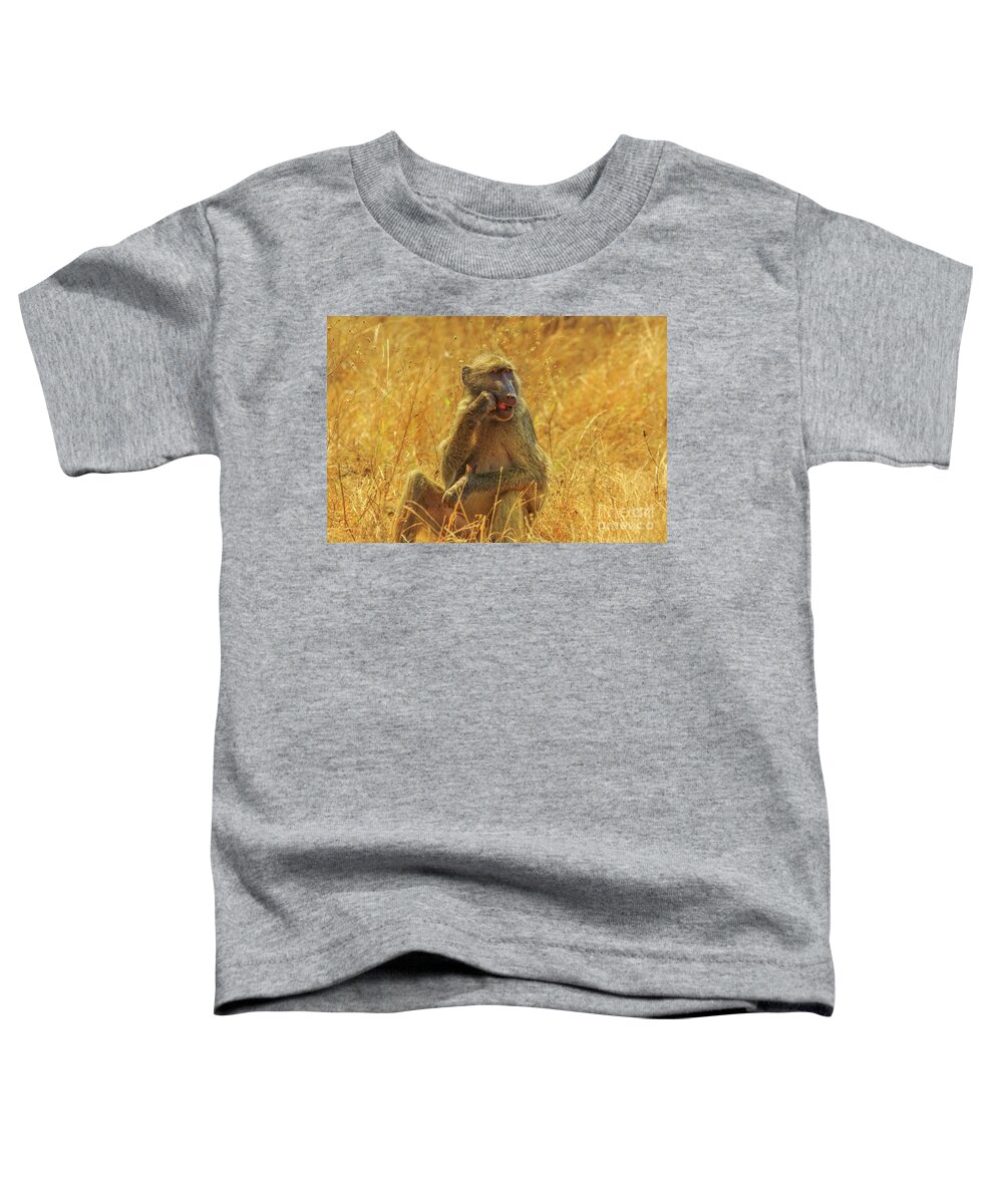 Baboon Toddler T-Shirt featuring the photograph Baboon eating Africa by Benny Marty