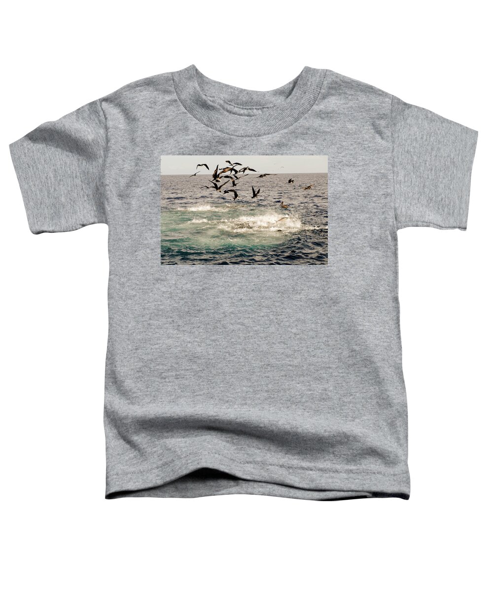 Fishing Toddler T-Shirt featuring the photograph Baitball with Tuna and seabirds feeding by David Shuler