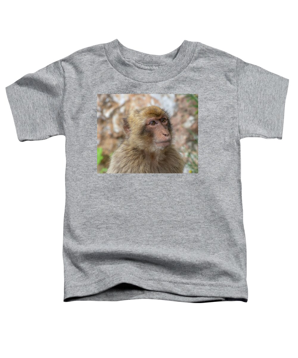 Barbary Toddler T-Shirt featuring the photograph Barbary Macaque of Gibraltar by Douglas Wielfaert