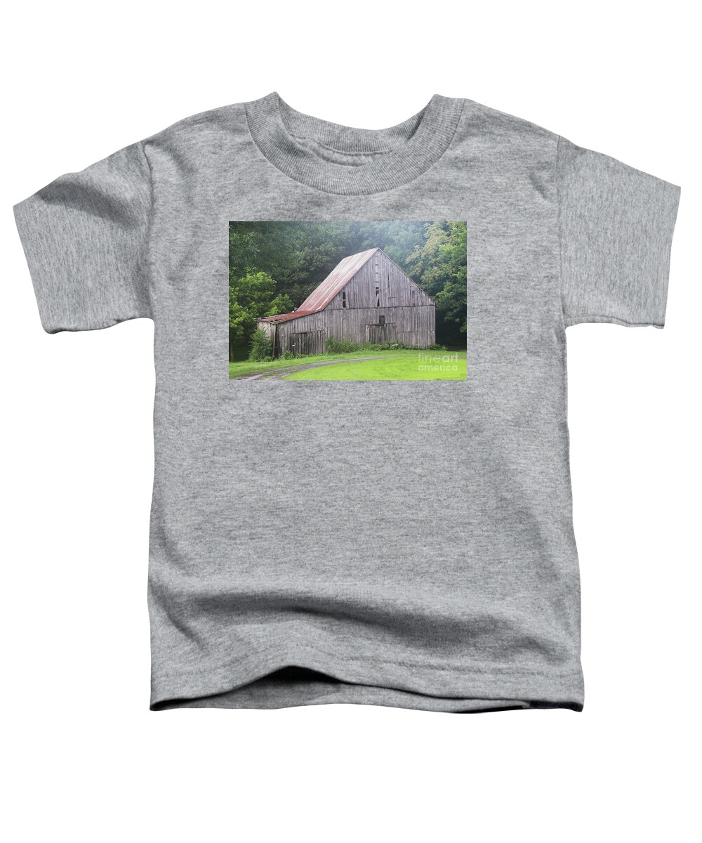 Barn Toddler T-Shirt featuring the photograph Barn no 112 by Dwight Cook