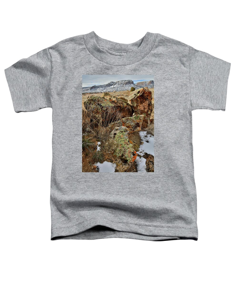 Red Point Toddler T-Shirt featuring the photograph Beautiful Boulders in Red Point Wash by Ray Mathis