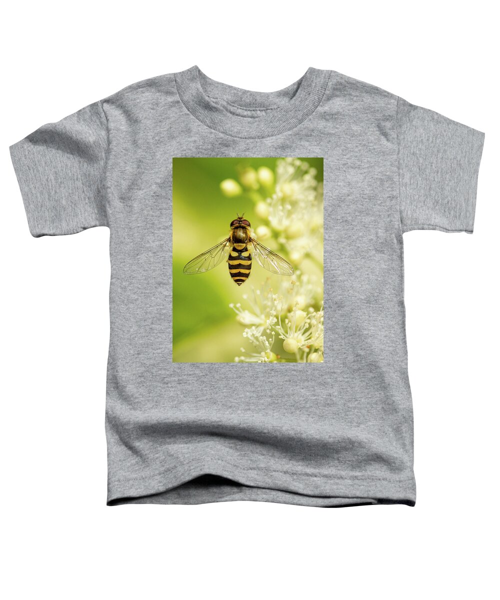 Nature Toddler T-Shirt featuring the photograph Bee Up by Bob Cournoyer