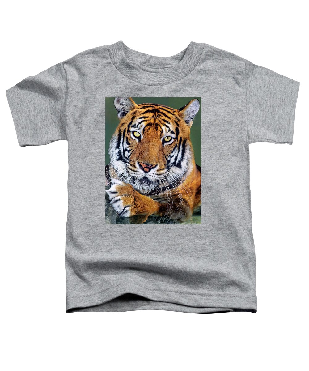 Bengal Tiger Toddler T-Shirt featuring the photograph Bengal Tiger Portrait Endangered Species Wildlife Rescue by Dave Welling