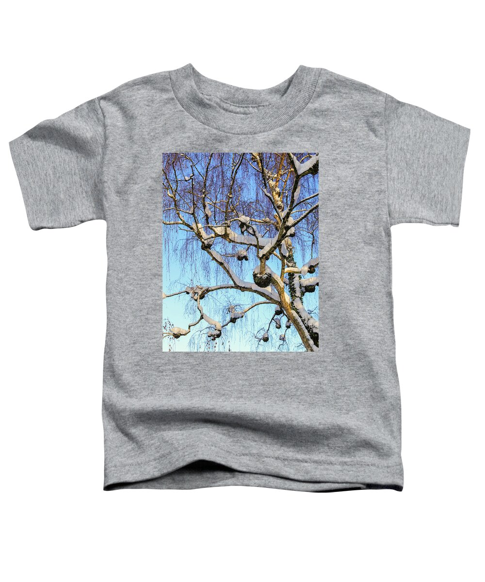 Birch Toddler T-Shirt featuring the photograph Birch tree in snow by Patricia Hofmeester