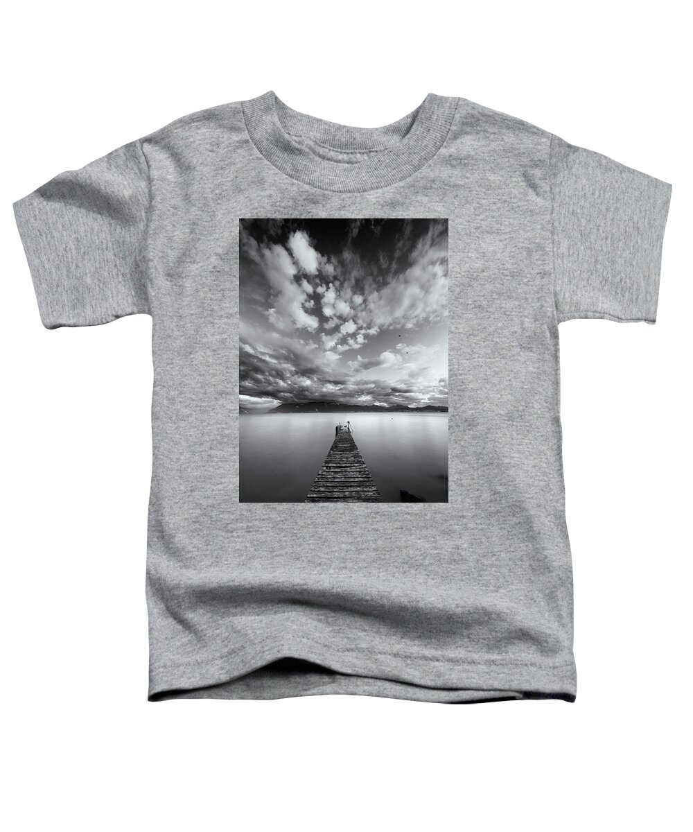 Sunset Toddler T-Shirt featuring the photograph Birds at large by Dominique Dubied