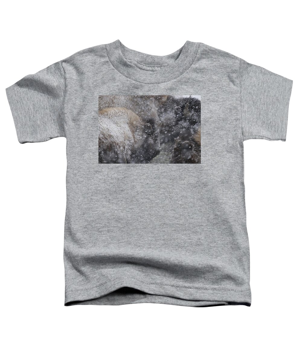 Yellowstone Toddler T-Shirt featuring the photograph Bison in Winter Yellowstone by C Ribet
