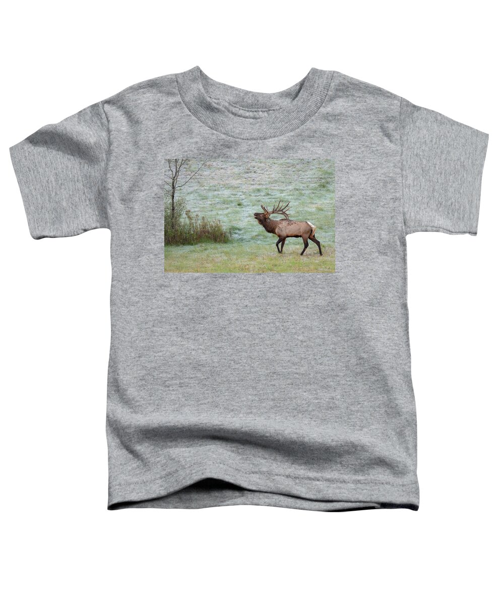 Elk Toddler T-Shirt featuring the photograph Bugling Bull by Rod Best