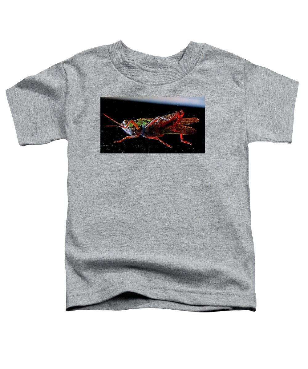 Insects Toddler T-Shirt featuring the photograph Bugs From OuterSpace by Linda Stern