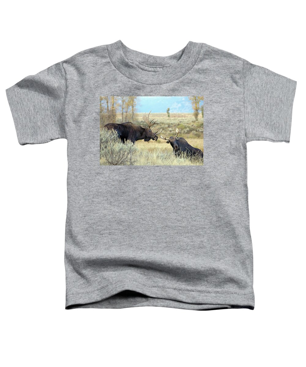 Moose Toddler T-Shirt featuring the photograph Bull Moose Challenge by Jean Clark