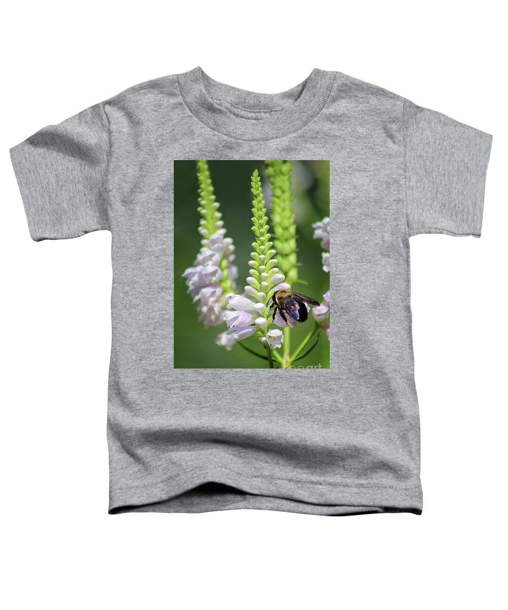 Bumblebee Toddler T-Shirt featuring the photograph Bumblebee on Obedient Flower by Karen Adams