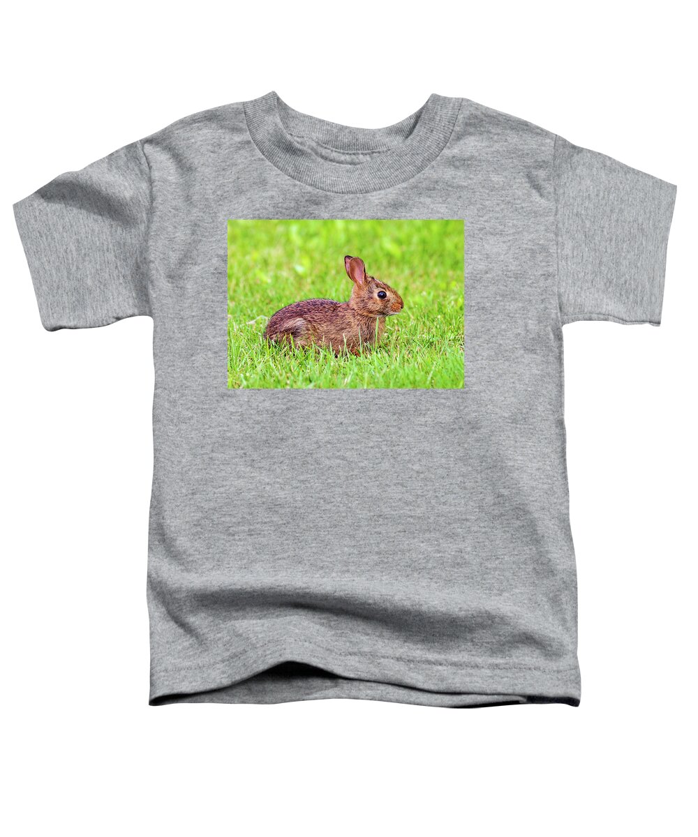 Wildlife Toddler T-Shirt featuring the photograph Wildlife Photography - Rabbit by Amelia Pearn