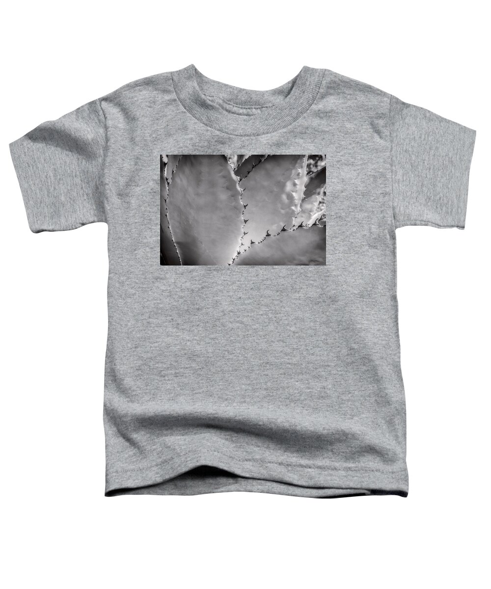 © 2015 Lou Novick All Rights Reserved Toddler T-Shirt featuring the photograph Cactus 1 by Lou Novick
