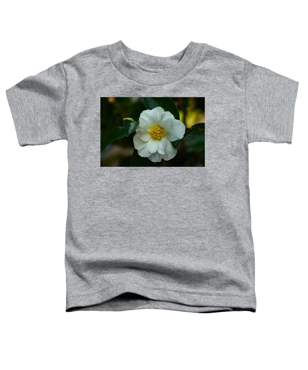 Flowers Toddler T-Shirt featuring the photograph Camilla by Jimmy Chuck Smith