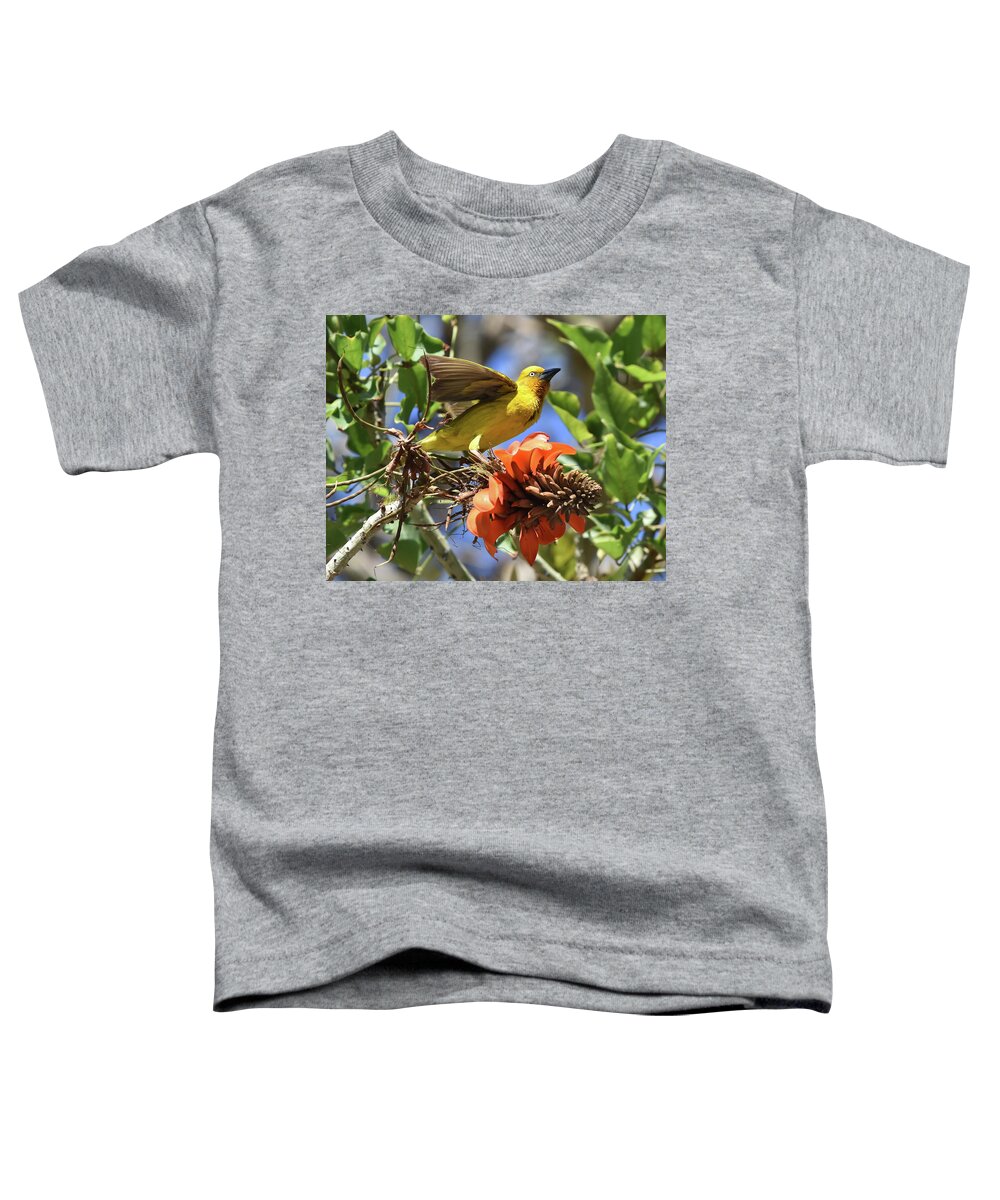 Weaver Toddler T-Shirt featuring the photograph Cape Weaver by Ben Foster