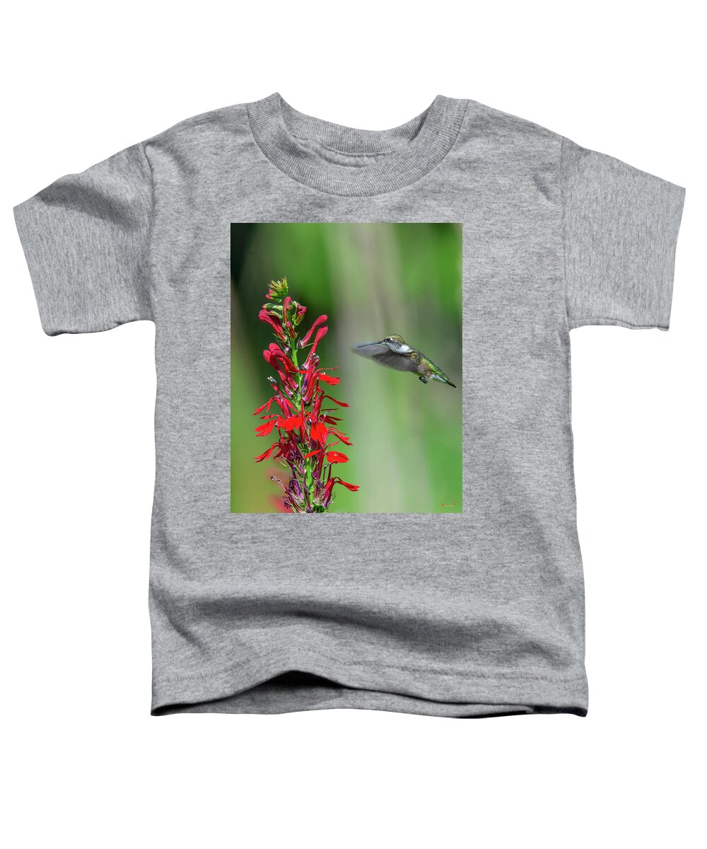 Nature Toddler T-Shirt featuring the photograph Cardinal Flower or Cardinal Lobelia DFL0899 by Gerry Gantt