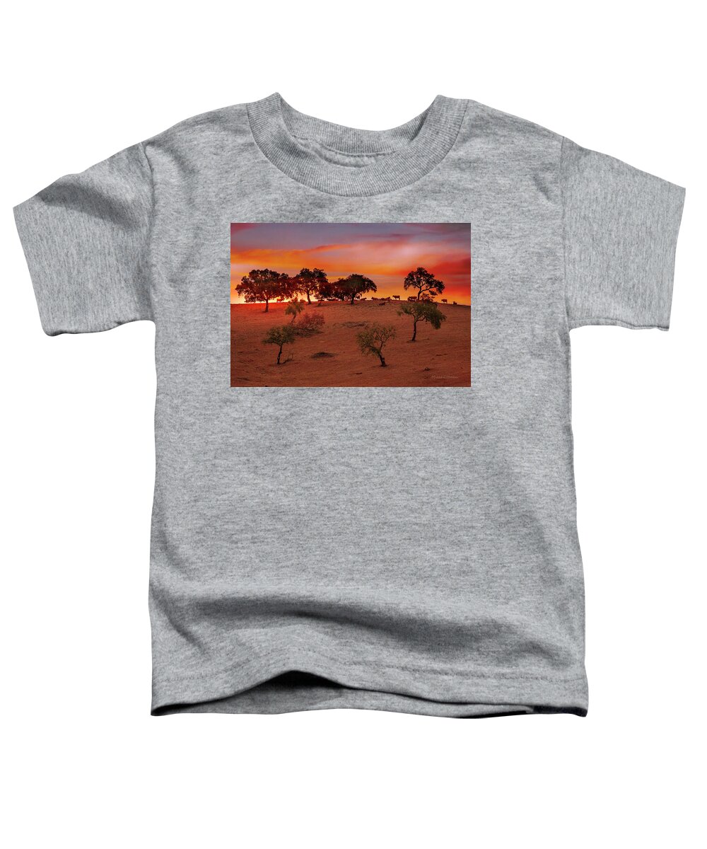 Cattle Toddler T-Shirt featuring the photograph Cattle at dusk by Micah Offman