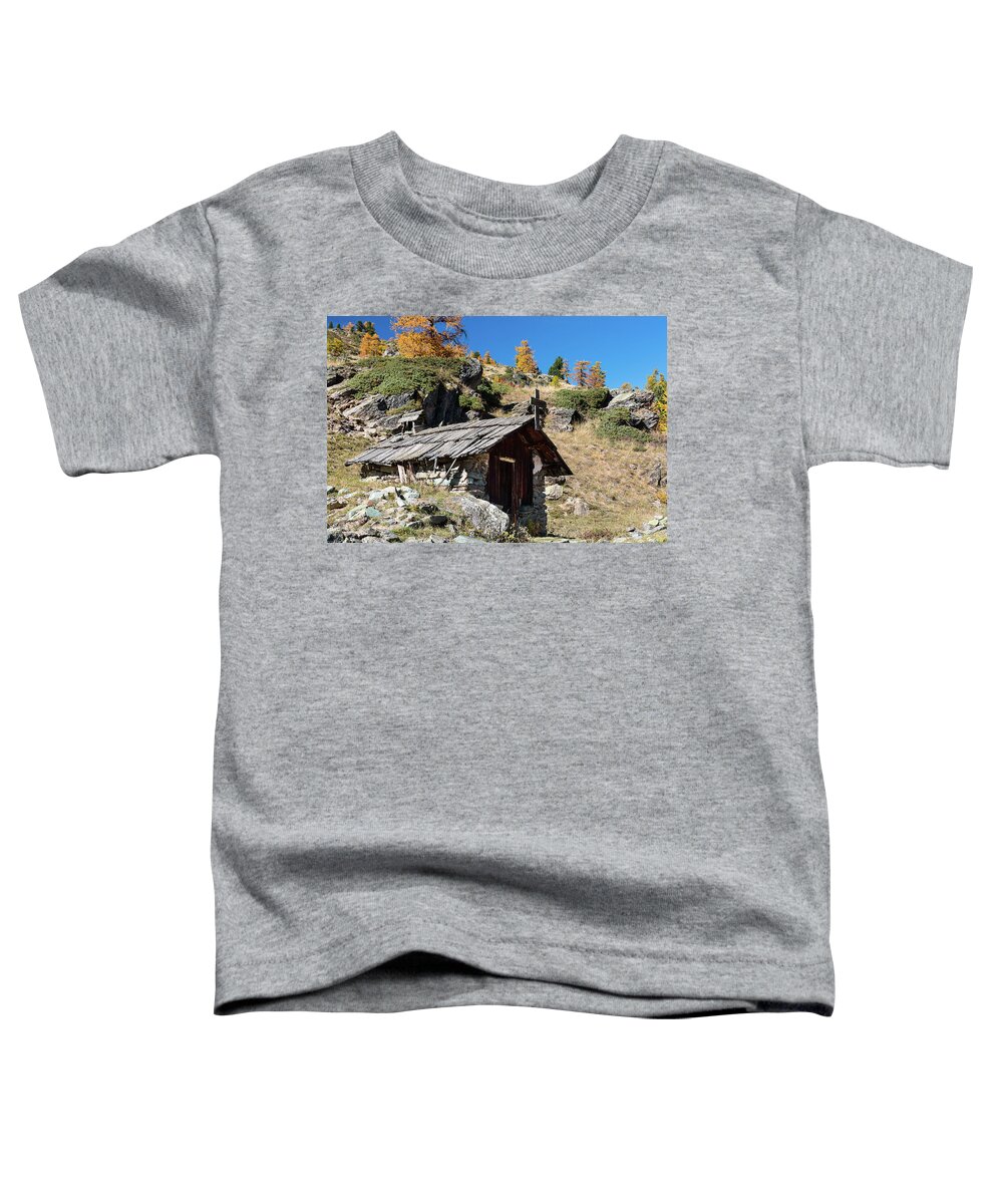 Mountain Landscape Toddler T-Shirt featuring the photograph Colors of fall - 6 - French Alps by Paul MAURICE