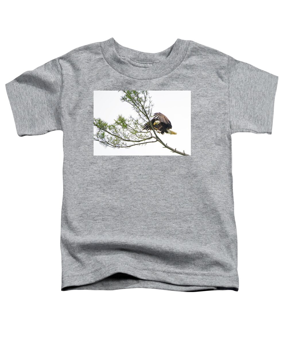 Bald Eagle Toddler T-Shirt featuring the photograph Coming in for a Landing by Robert J Wagner