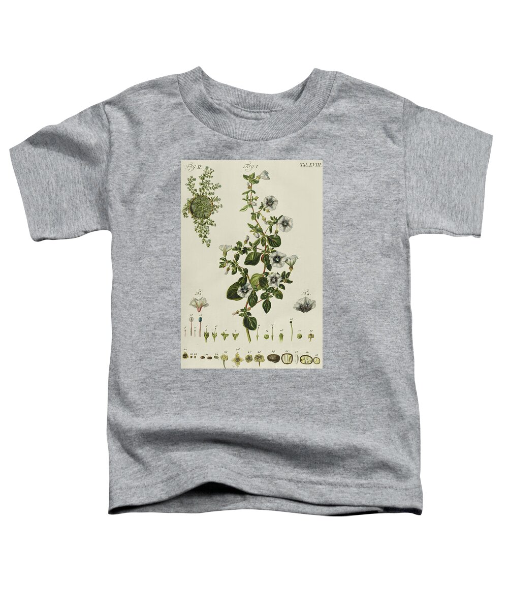 Plant Toddler T-Shirt featuring the painting Convolvulus Teganium f Atropa gymnosperma from Plantae Rariores by Jakob Christoph Keller