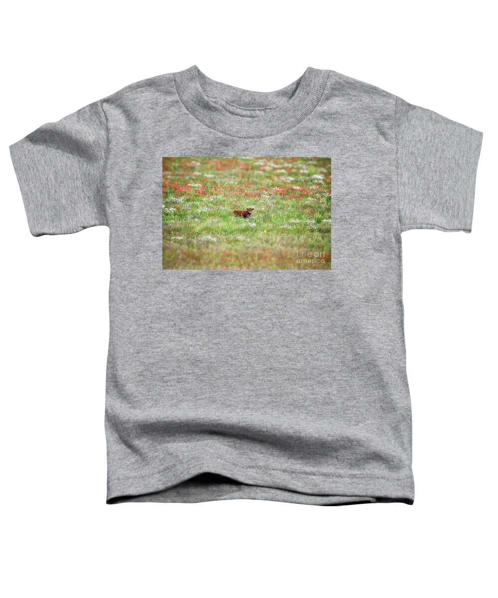 Cow Toddler T-Shirt featuring the photograph Cow in wild flower meadow by Simon Bratt