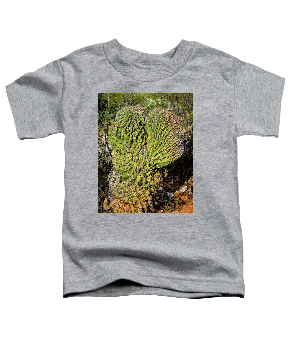 Crested Toddler T-Shirt featuring the photograph Cristate Barrel Cactus v1645 by Mark Myhaver