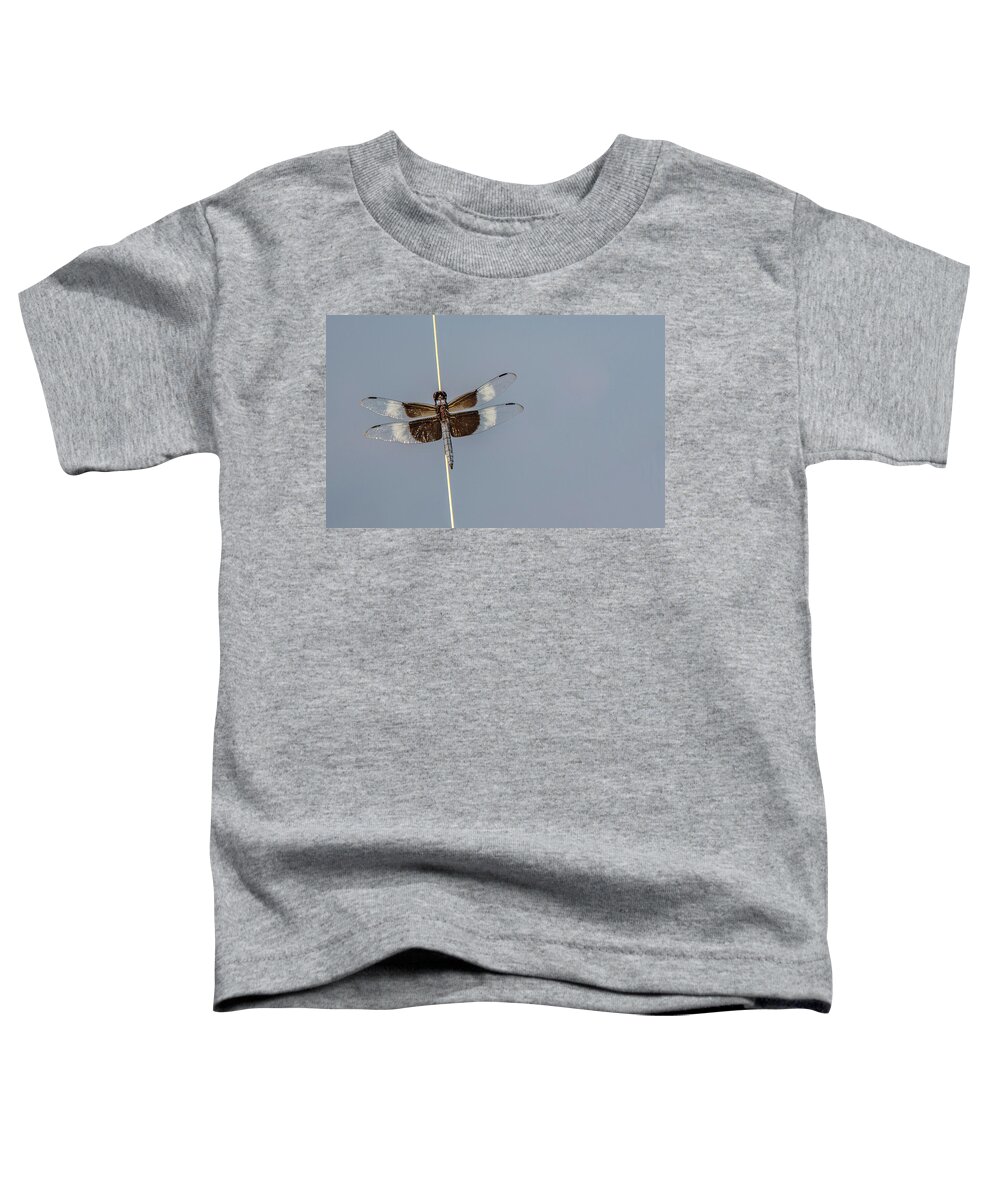 Berry Toddler T-Shirt featuring the photograph Delicate Wings by Douglas Wielfaert