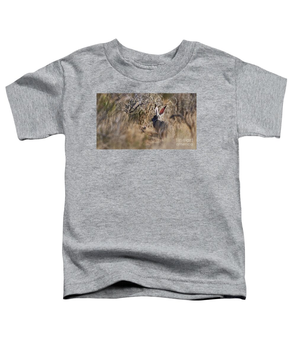 Desert Rabbit Toddler T-Shirt featuring the photograph Desert Hare by Robert WK Clark