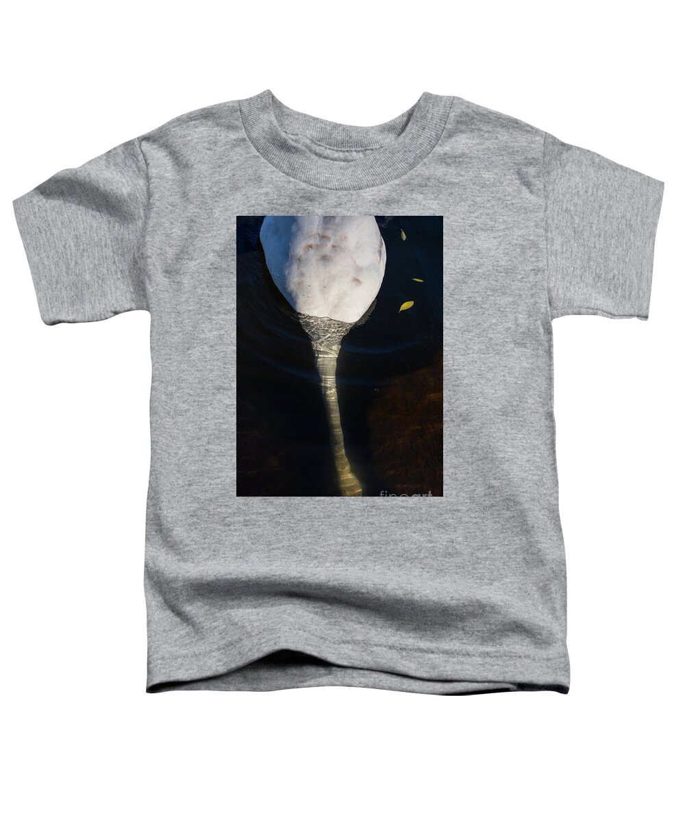 Photography Toddler T-Shirt featuring the photograph Diving for food by Alma Danison