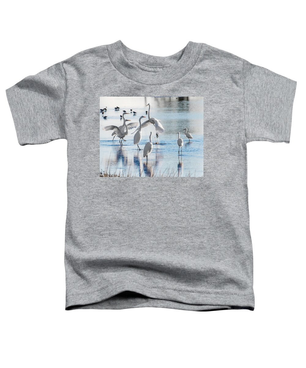 Birds Toddler T-Shirt featuring the photograph Egret Ballet 1400 by Donald Brown