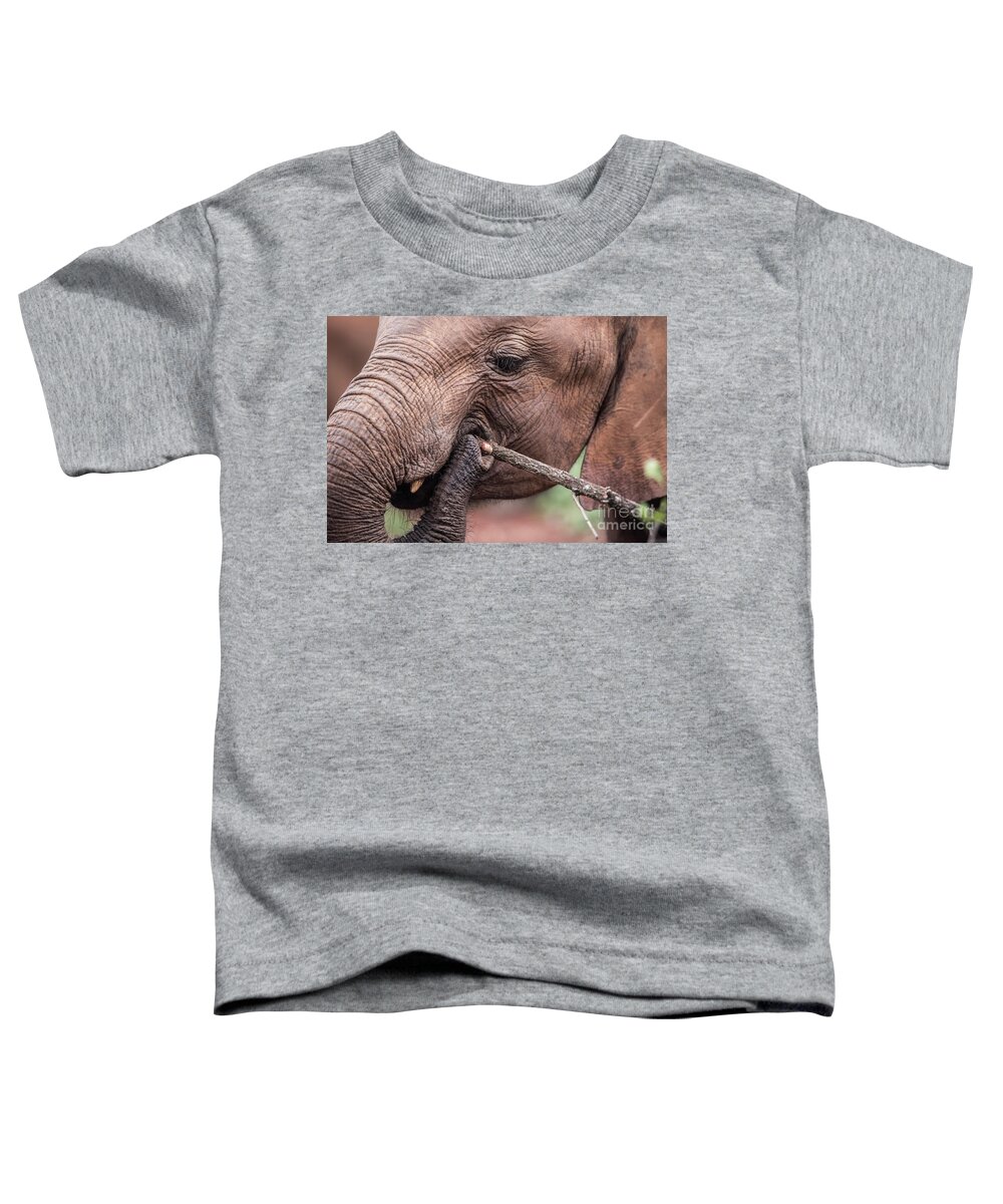 Africa Toddler T-Shirt featuring the photograph Elephant chews on a branch by Steve Somerville