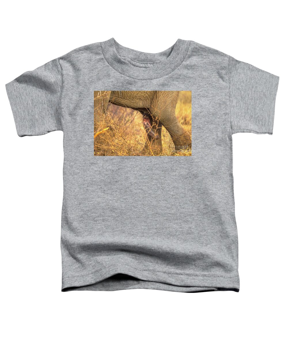 Elephant Penis Toddler T-Shirt featuring the photograph Elephants penis by Benny Marty