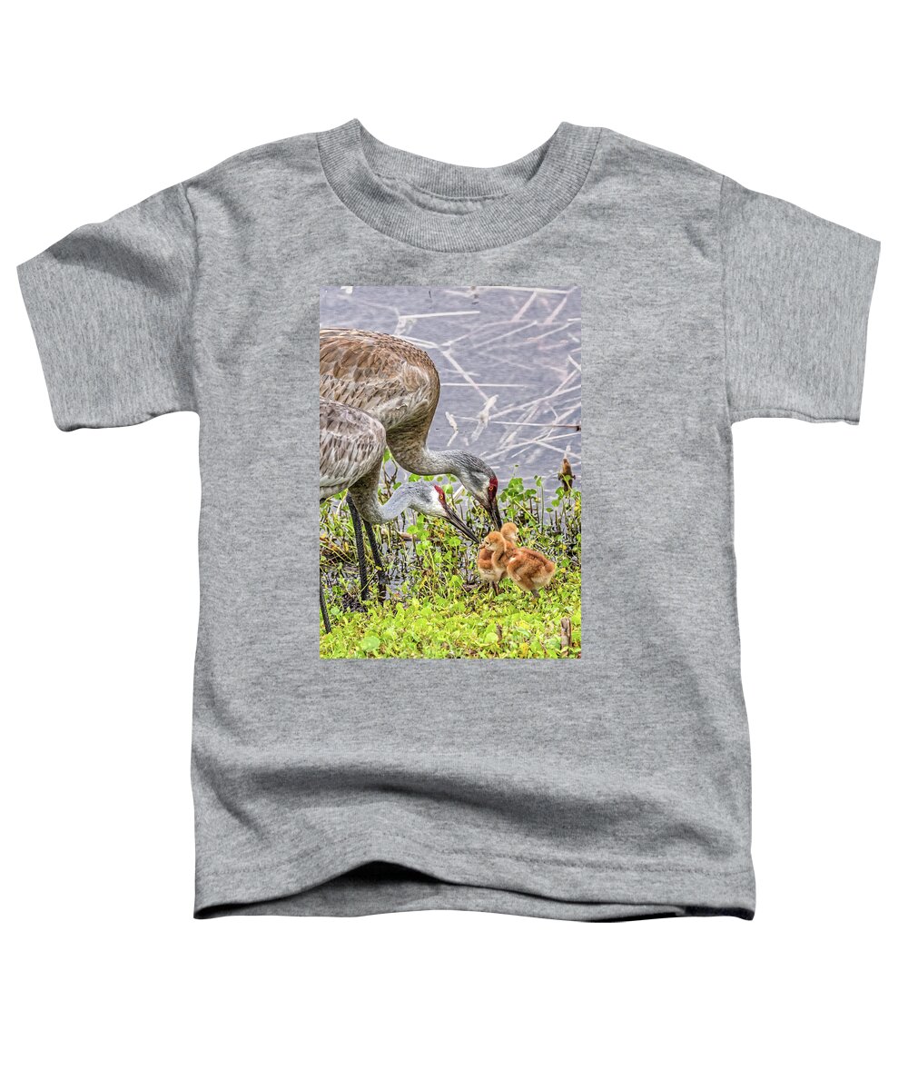 2019-03-12 Toddler T-Shirt featuring the photograph Family Portrait - The Sandhills by Jo Ann Gregg
