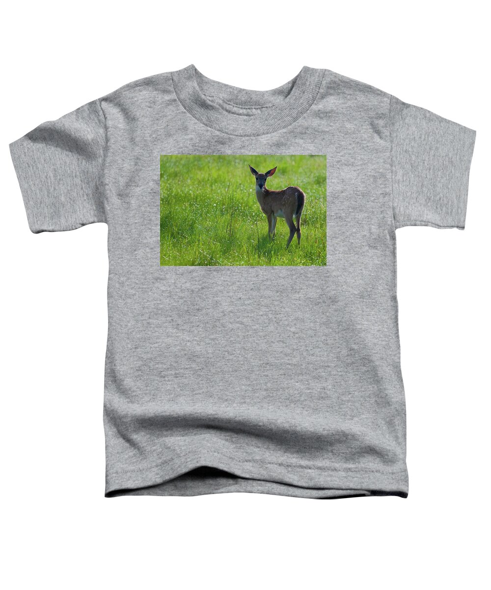 Fawn Toddler T-Shirt featuring the photograph Fawn in Dewy Grass by T Lynn Dodsworth