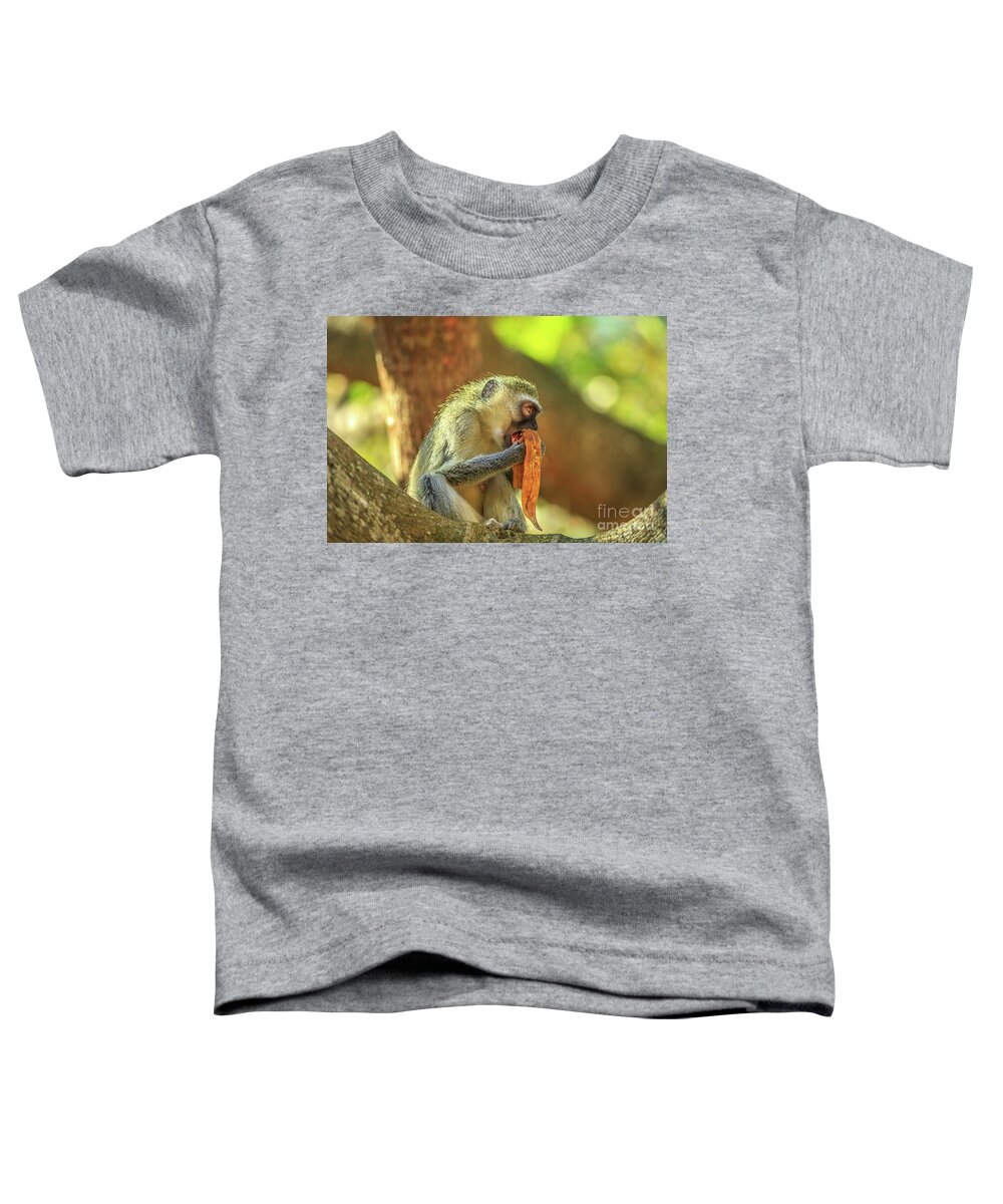 Monkey Toddler T-Shirt featuring the photograph Female Vervet Monkey by Benny Marty