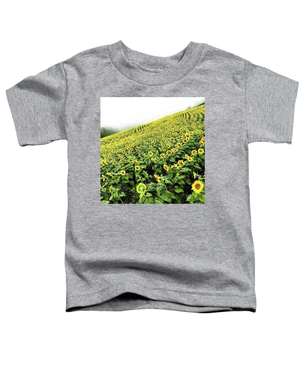 Sunflowers Toddler T-Shirt featuring the photograph Fields of Yellow by Shane Kelly