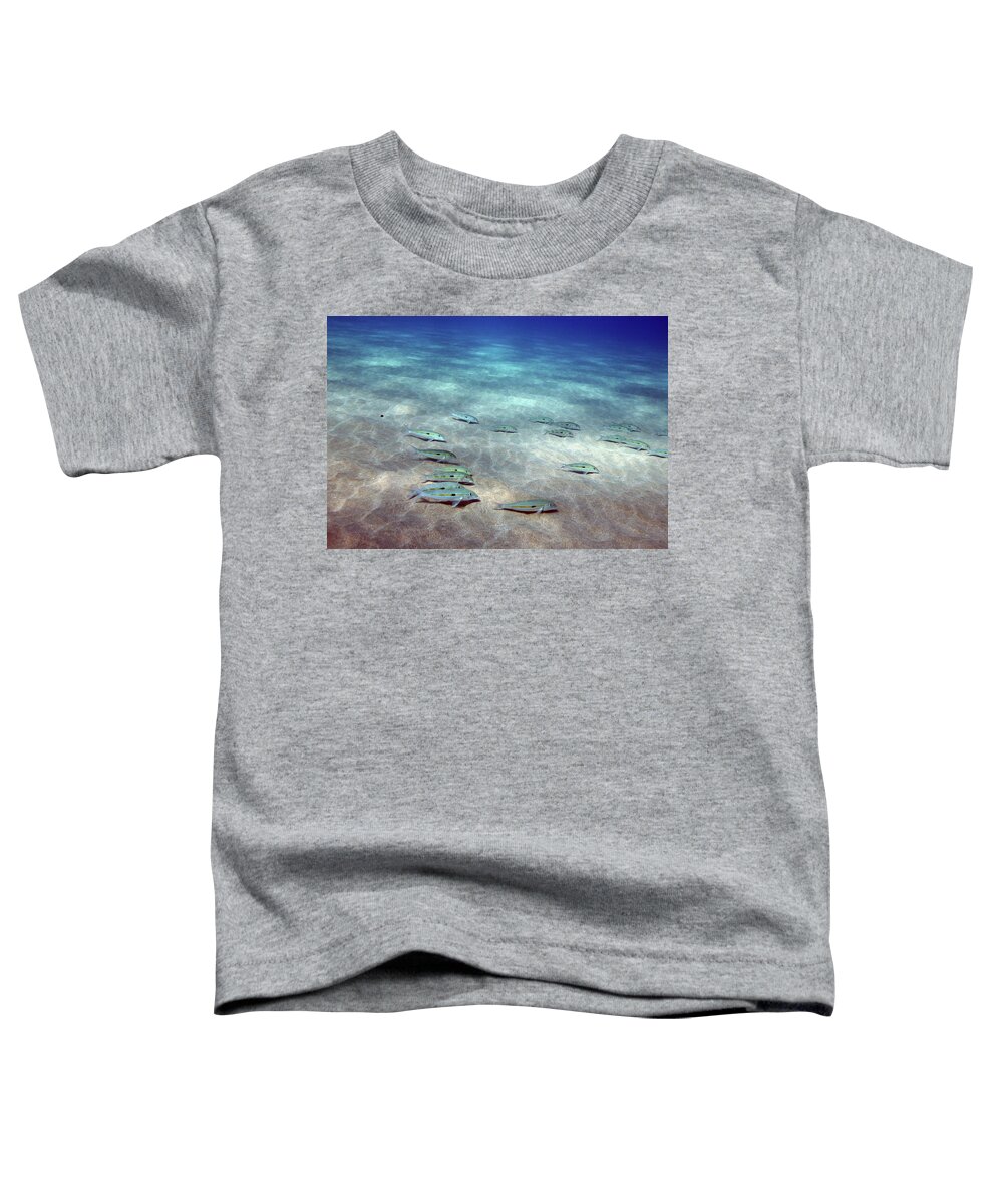 Ocean Toddler T-Shirt featuring the photograph Fish on the Floor by Anthony Jones