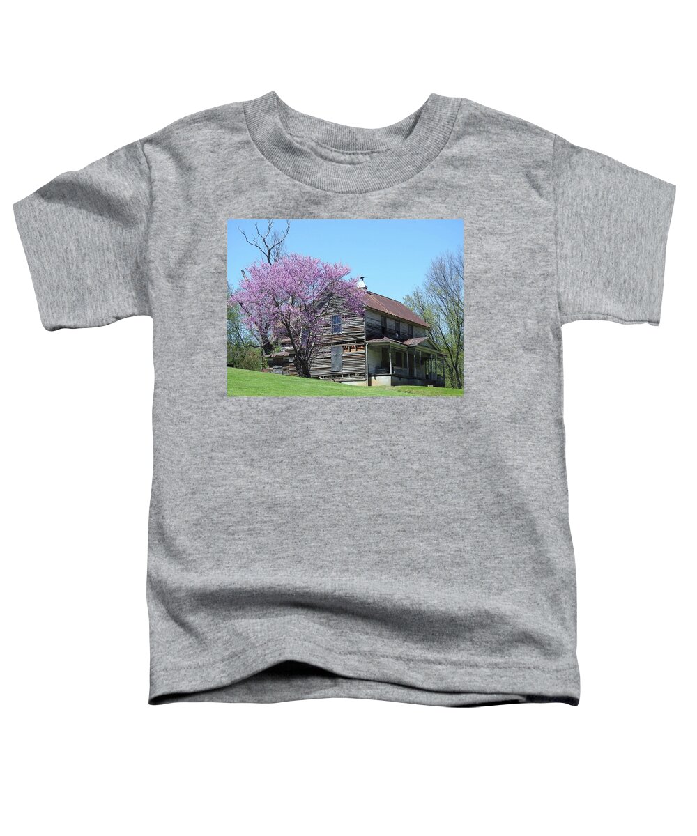 Spring Toddler T-Shirt featuring the photograph Fixer Upper by Kathy Ozzard Chism