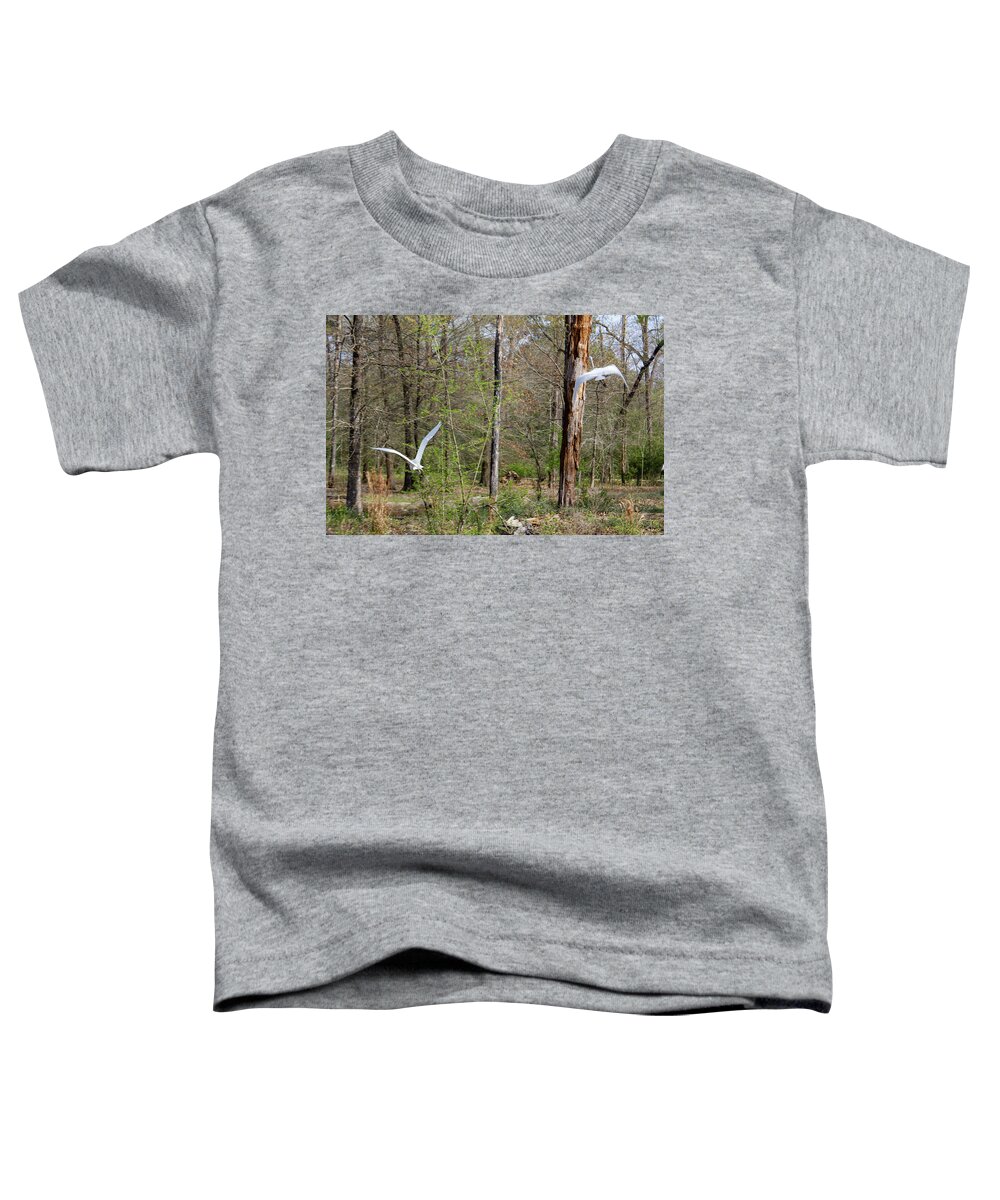 Birds Swans Toddler T-Shirt featuring the photograph Flying Swans by Rocco Silvestri