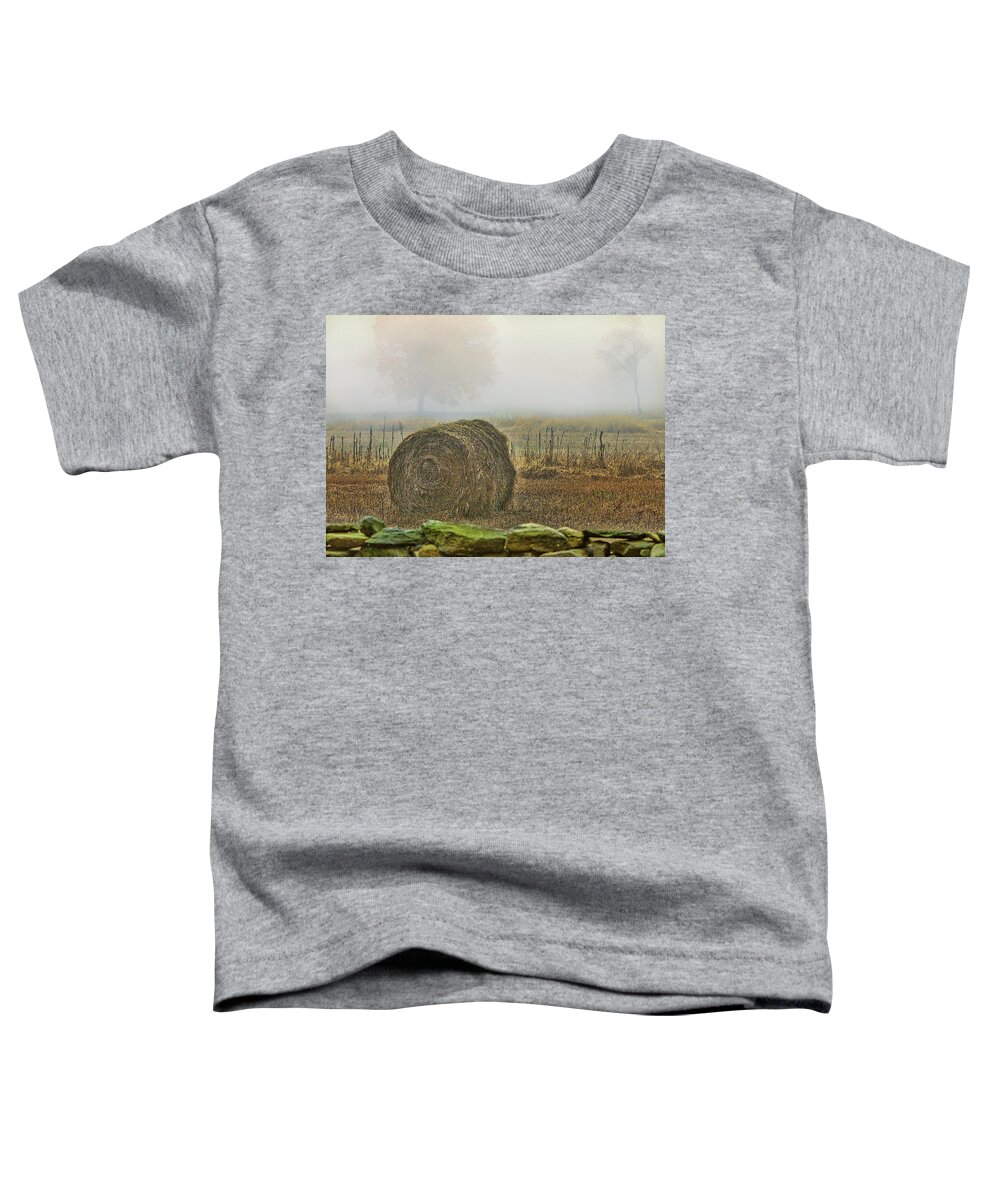Bale Of Hay Toddler T-Shirt featuring the photograph Foggy autumn morning near the beach by Cordia Murphy