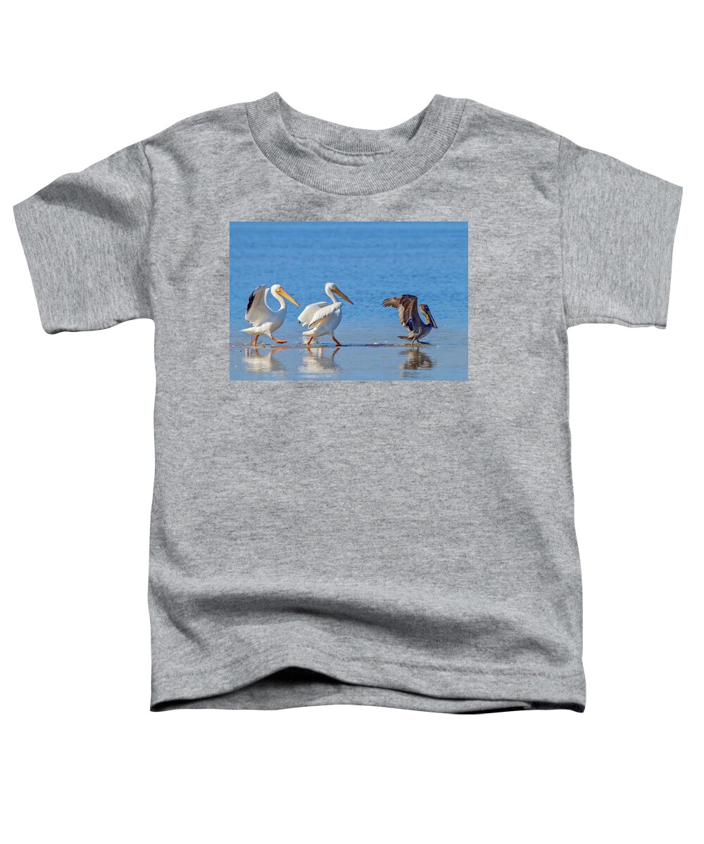 Pelican Toddler T-Shirt featuring the photograph Follow the Leader by Susan Rydberg