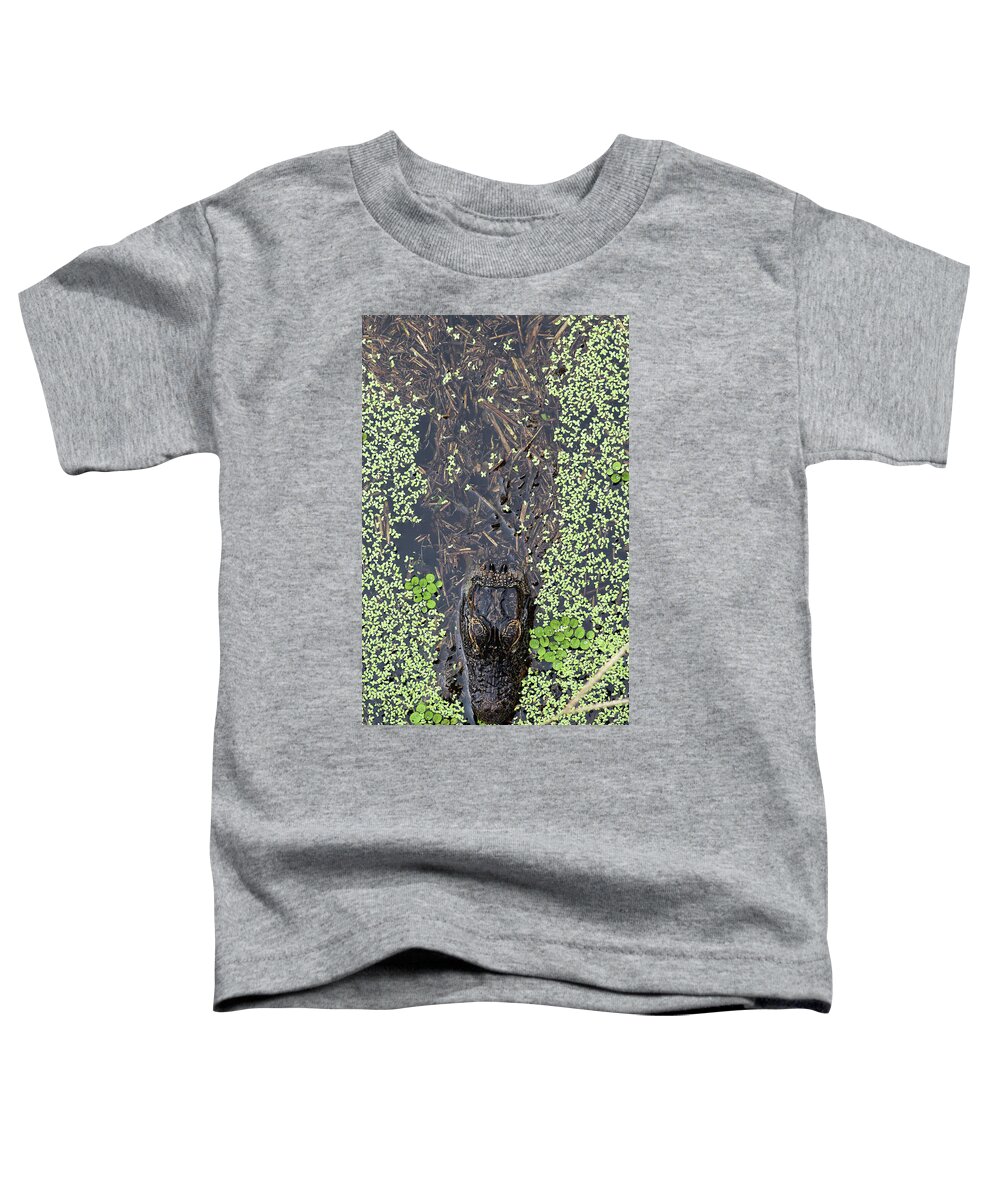 Alligator Toddler T-Shirt featuring the photograph From the Sticks by Michael Allard