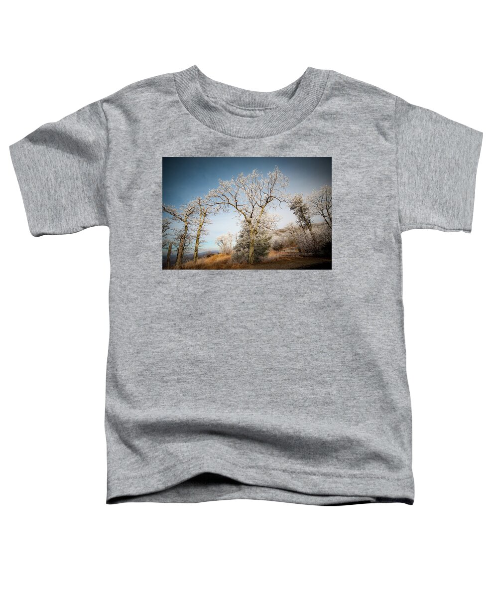Blue Ridge Toddler T-Shirt featuring the photograph Frost on the Mountain by Mark Duehmig