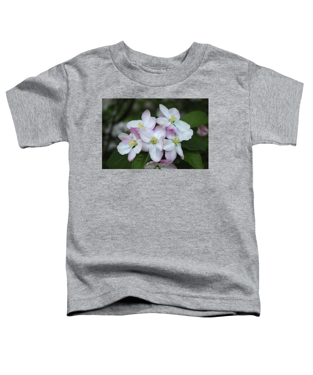 Apple Blossoms Toddler T-Shirt featuring the photograph Full Bloom Apple Blossoms by David T Wilkinson